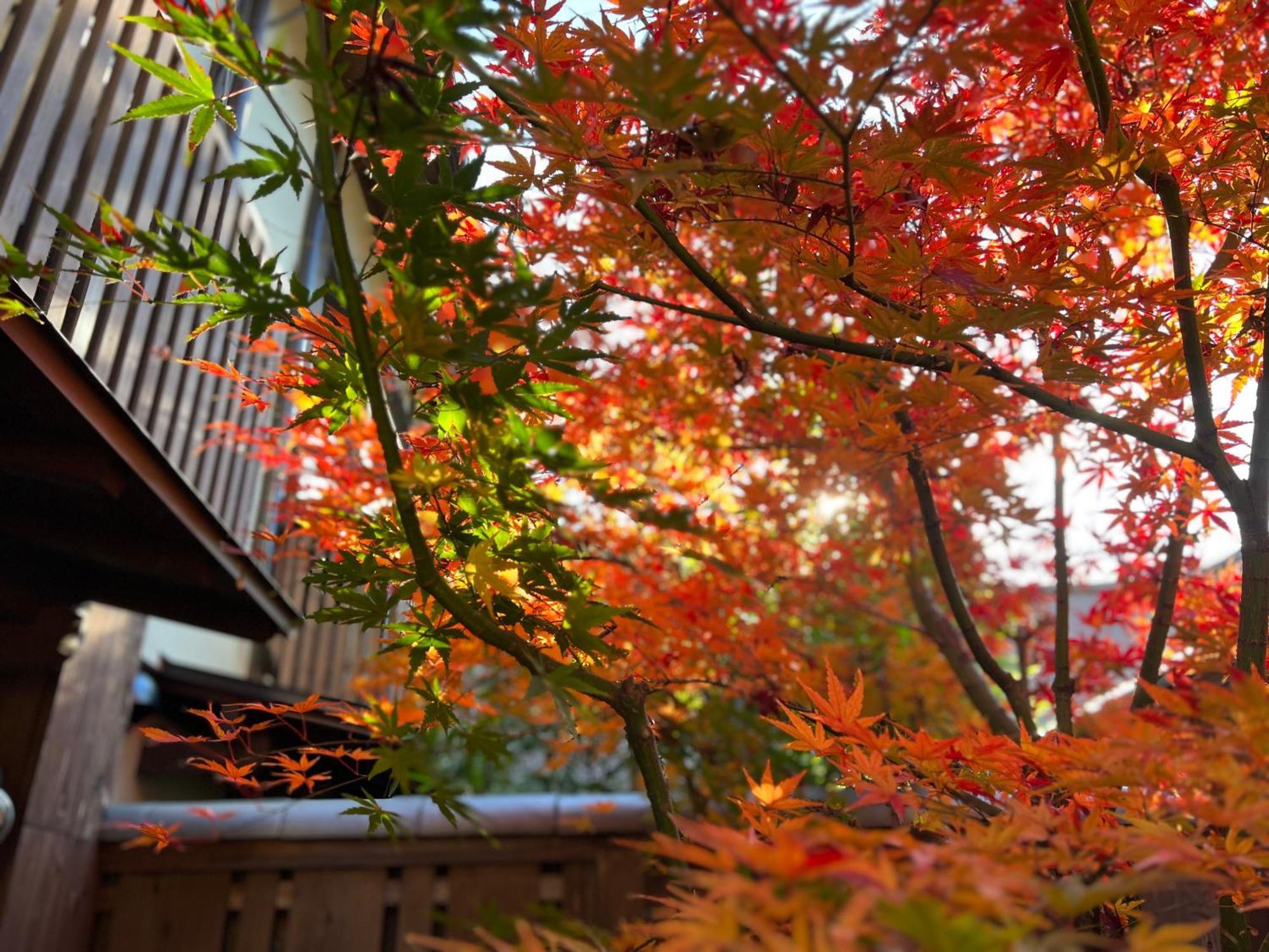 Вілла Imakumano Terrace - Dohachi An 道八庵 Кіото Екстер'єр фото